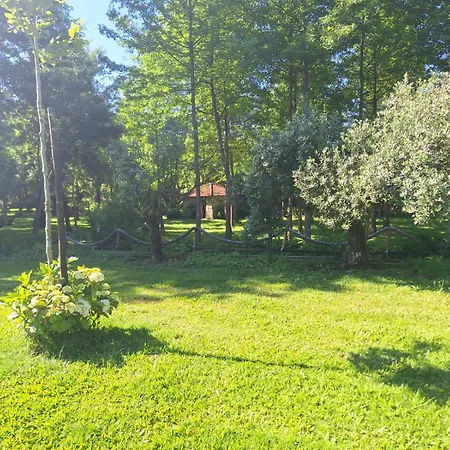 Farm stay Quinta Carvalhas Neiva