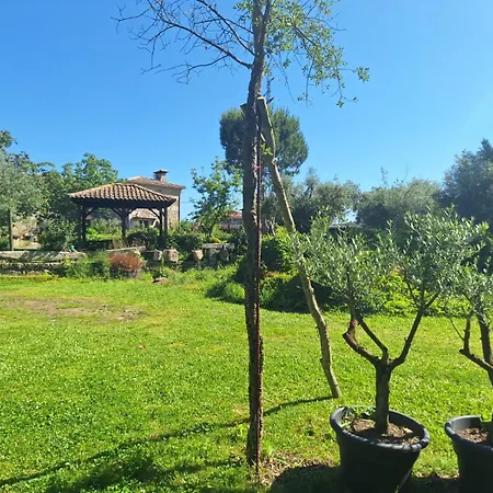 Quinta Carvalhas Farm stay *