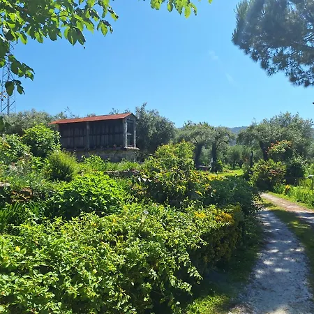 Farm stay Quinta Carvalhas *