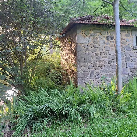 Quinta Carvalhas