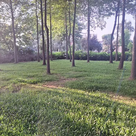 Quinta Carvalhas Farm stay *
