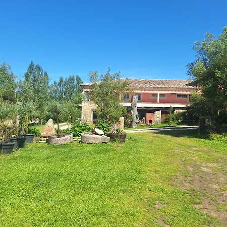 Quinta Carvalhas Farm stay *