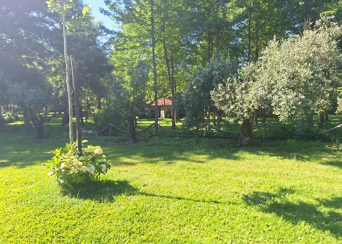 Feriegård Quinta Carvalhas Neiva