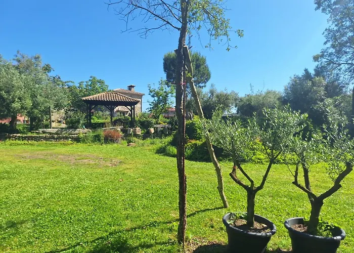 Quinta Carvalhas Çiftlik konaklama *