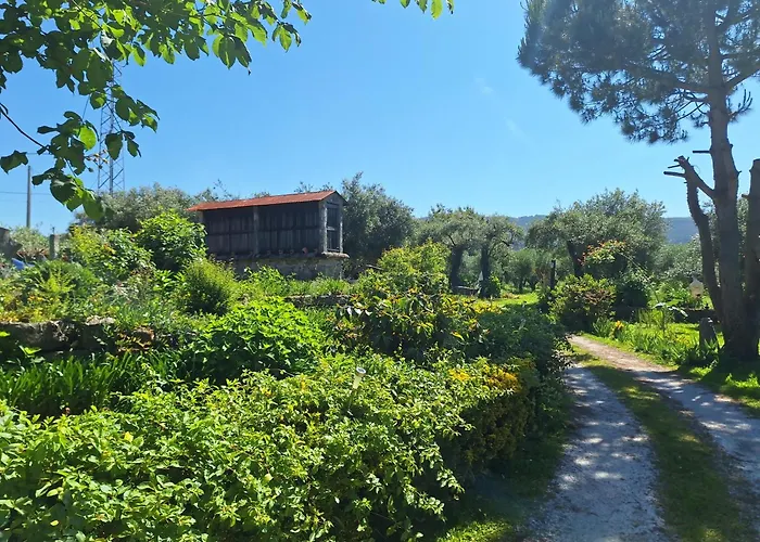 Vakantieboerderij Quinta Carvalhas *