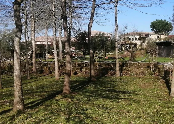 Vakantieboerderij Quinta Carvalhas